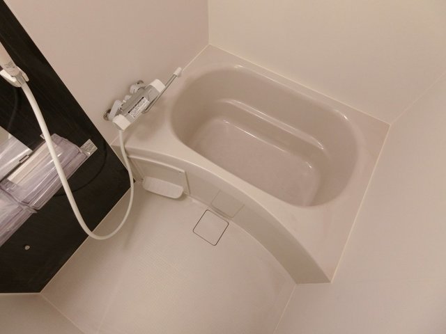 バス