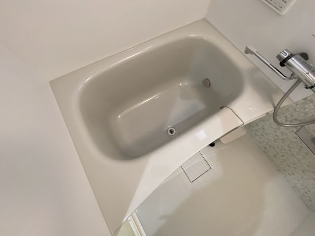 バス