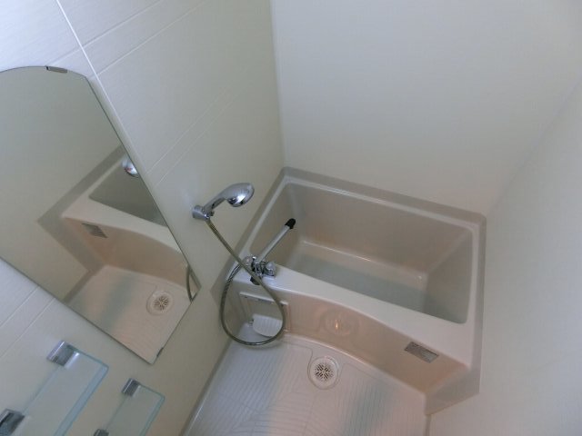 バス