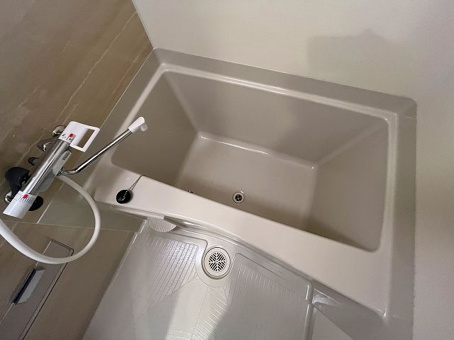 バス
