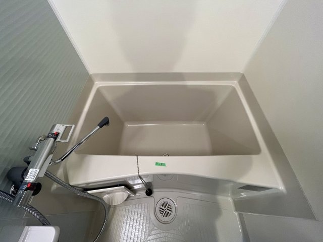 バス