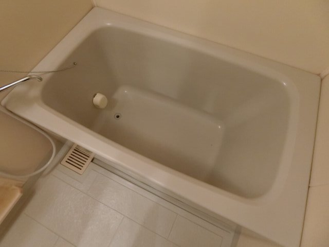 バス