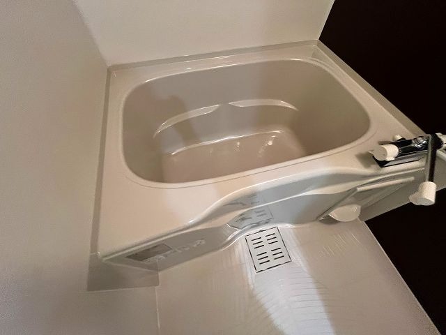 バス