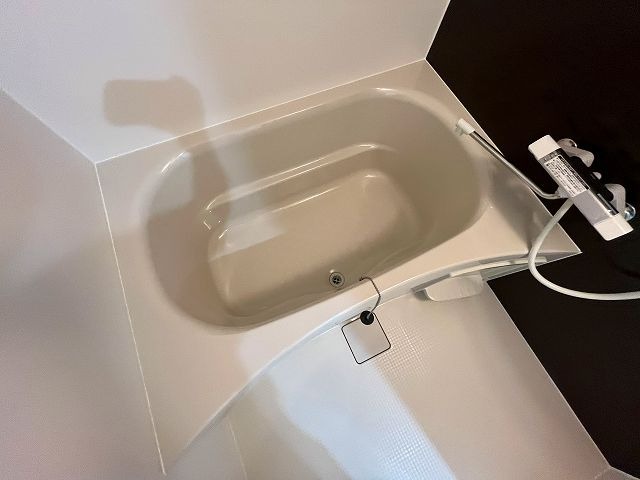 バス