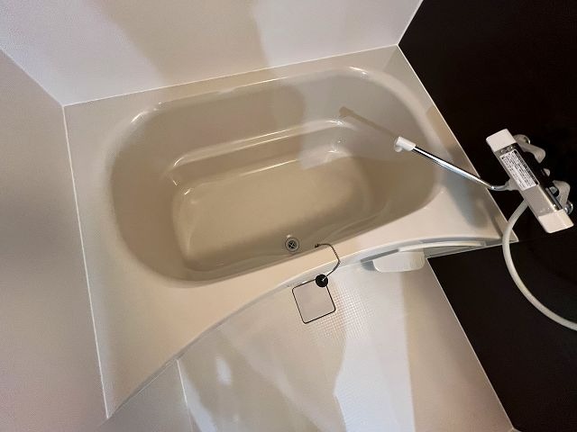 バス