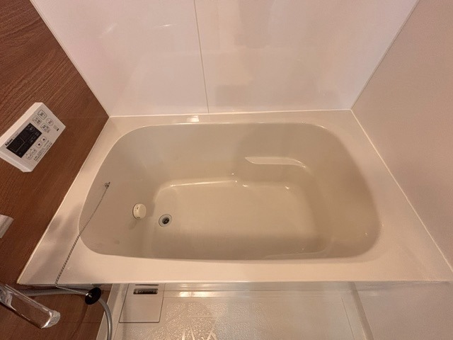 バス