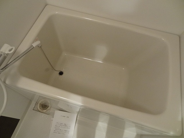 バス