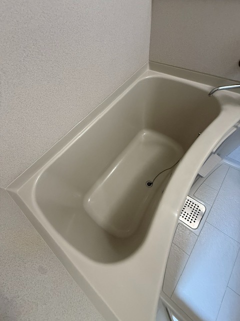 バス