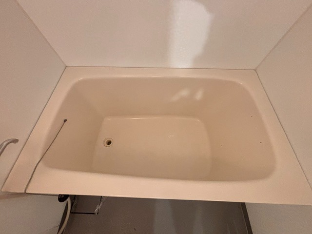 バス