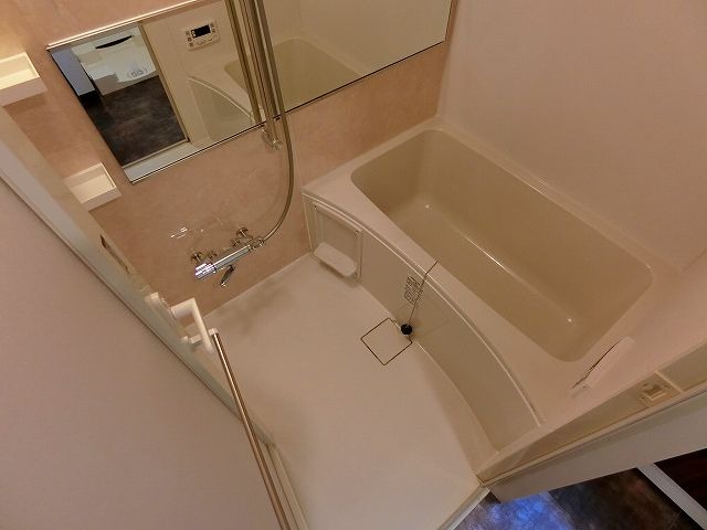 バス