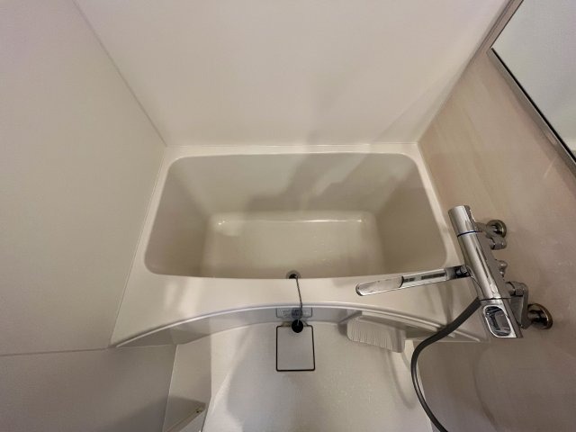 バス