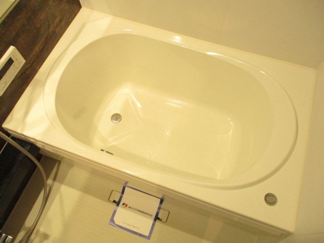 バス