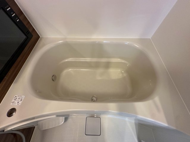 バス