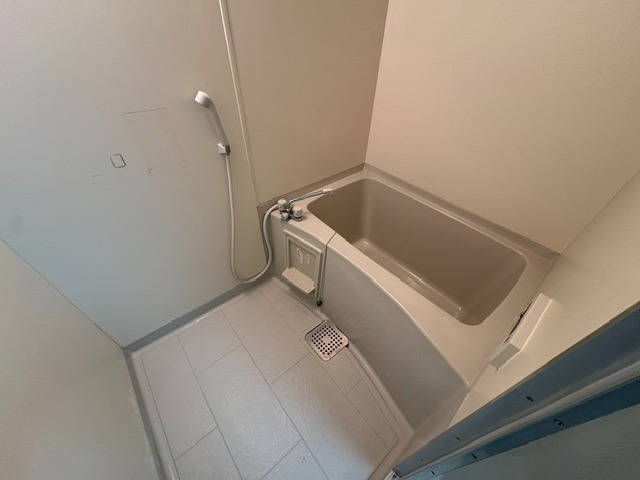 バス