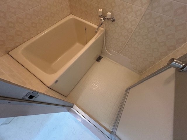 バス