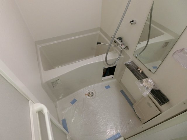 バス