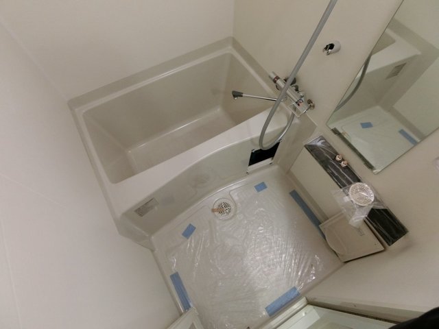 バス
