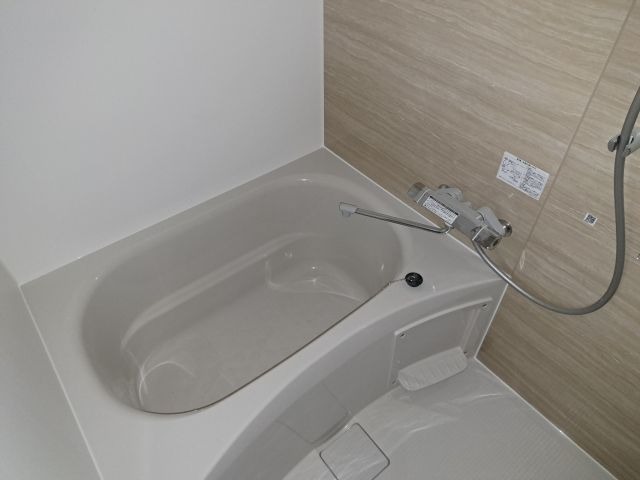 バス