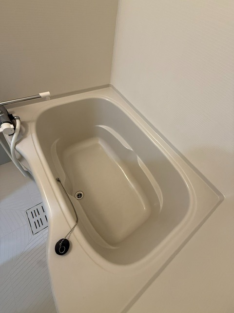バス
