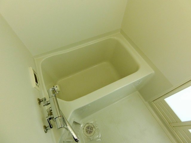 バス