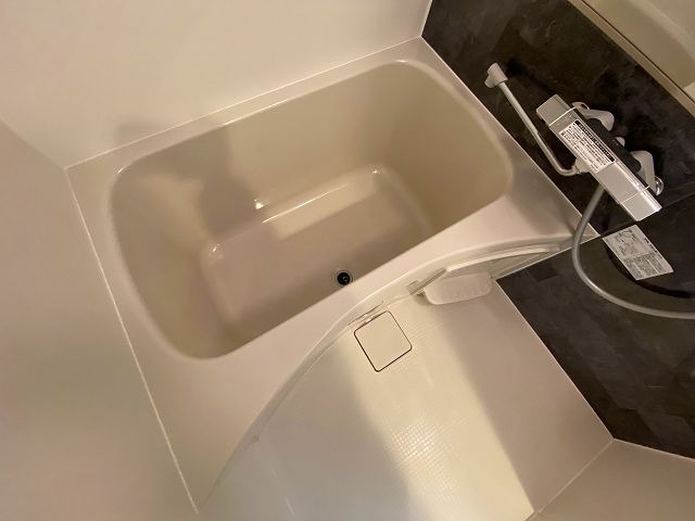 バス