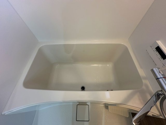 バス
