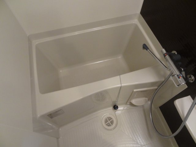 バス