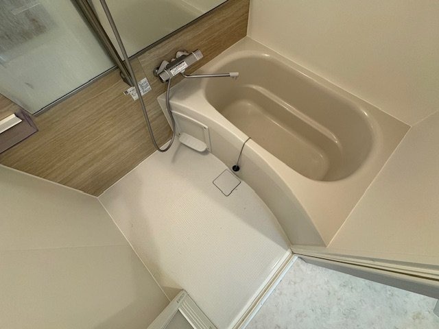 バス
