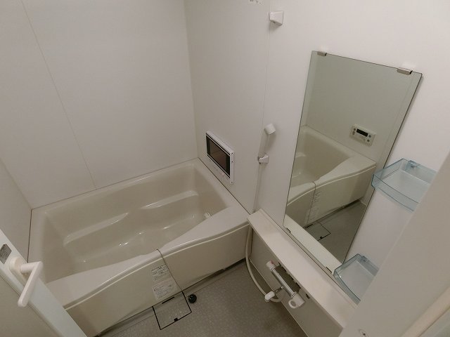 バス