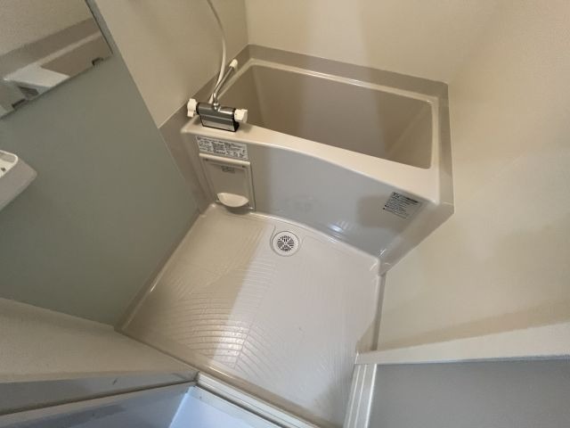 バス