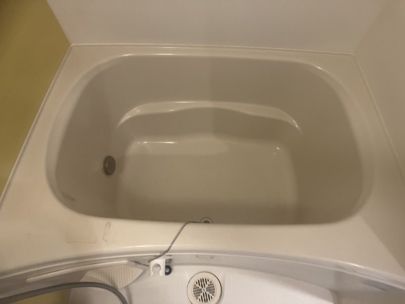 バス