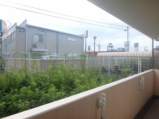 異なる号室の室内写真です