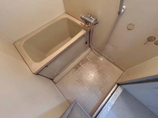 バス