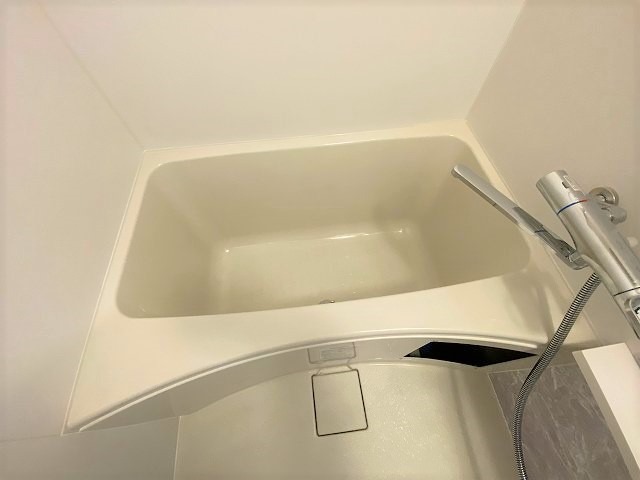 バス