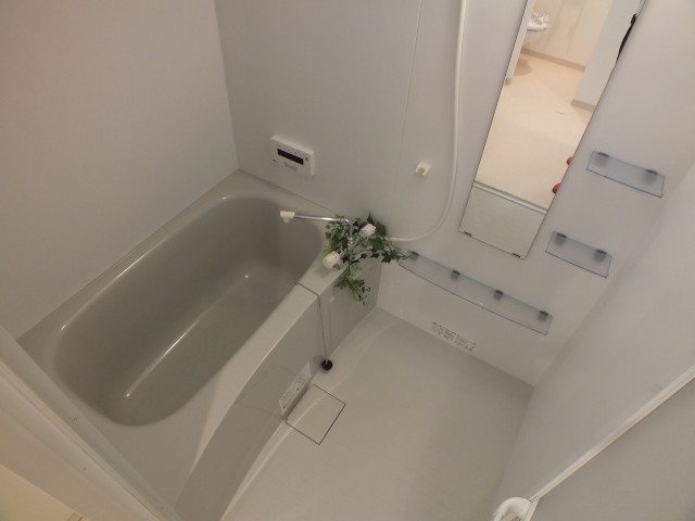 バス