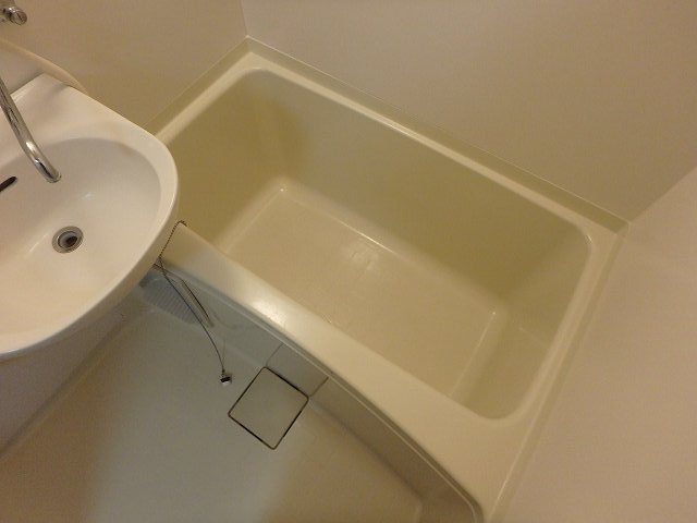 バス
