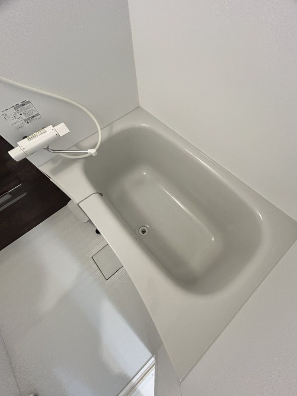 バス