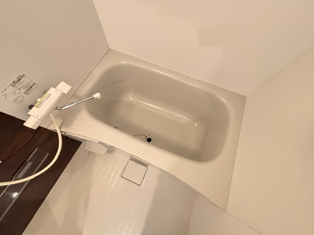 バス