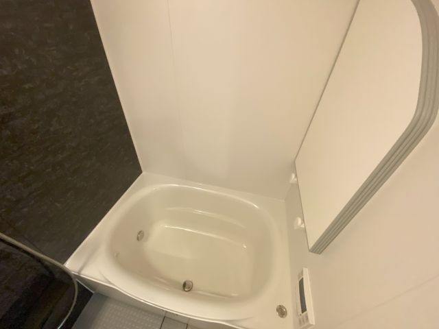 バス
