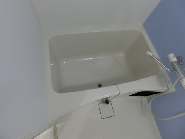 バス