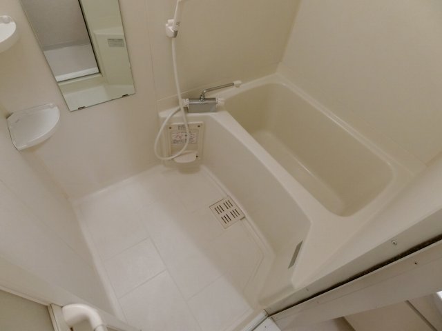 バス