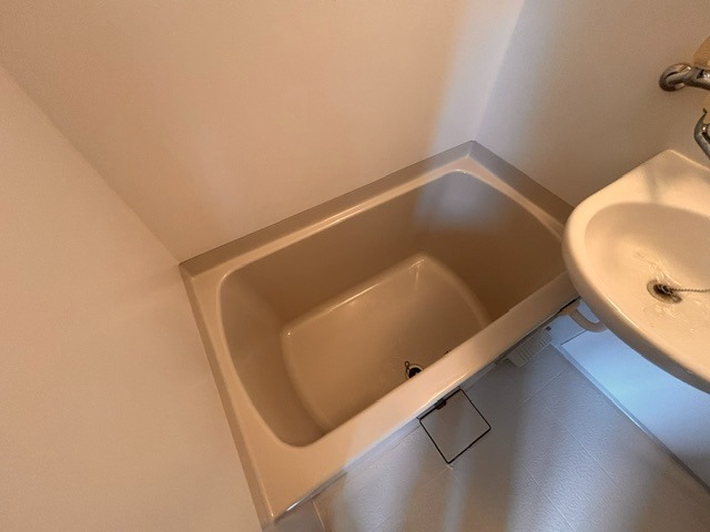 バス