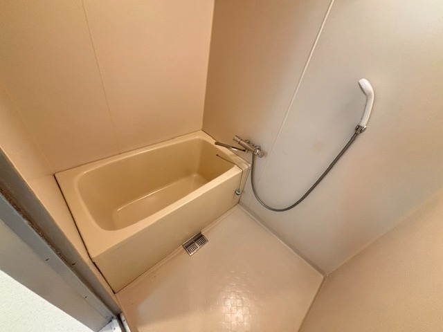 バス