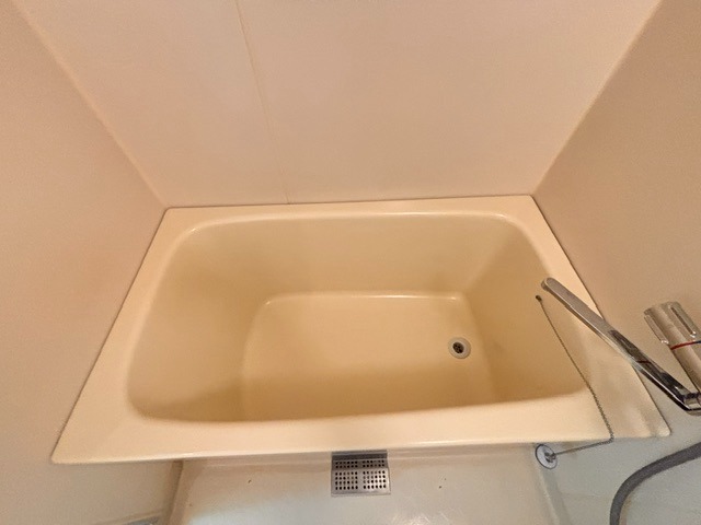 バス