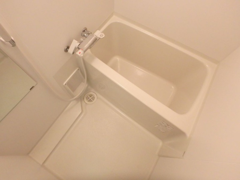 バス