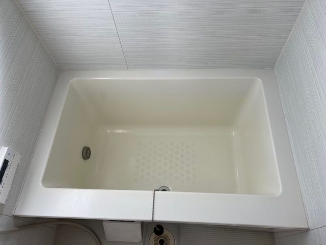 バス