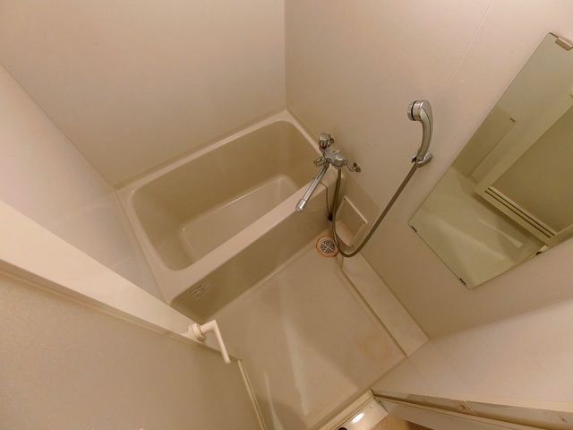 バス