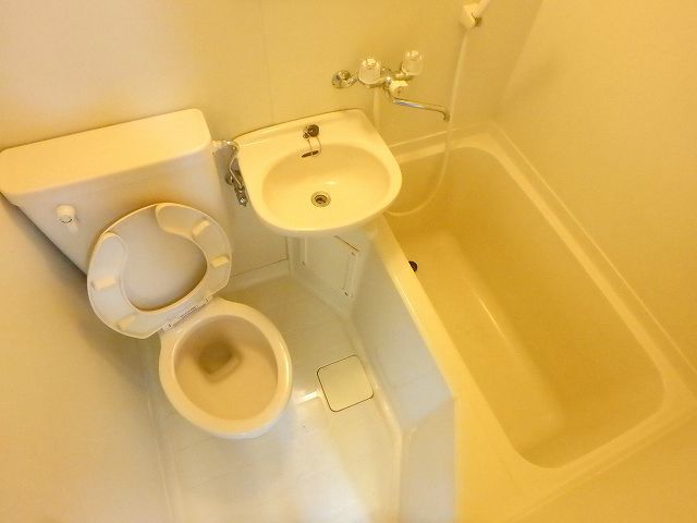 バス