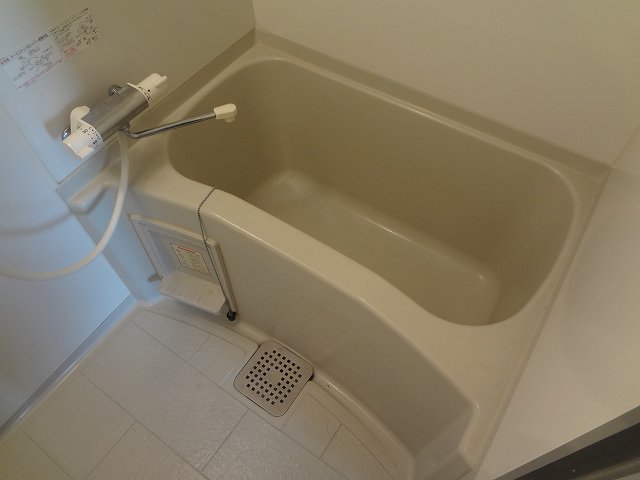 バス