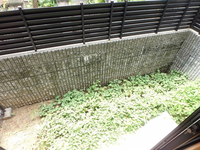 異なる号室の室内写真です